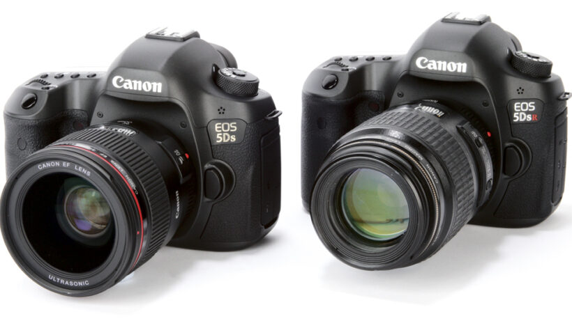 Best Professional DSLRs 2016