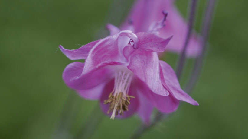Fujifilm X-T10 sample image 4