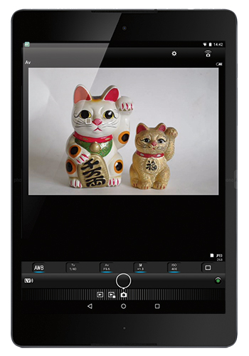 Pentax Nexus 9