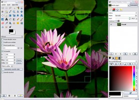 Gimp free editing software