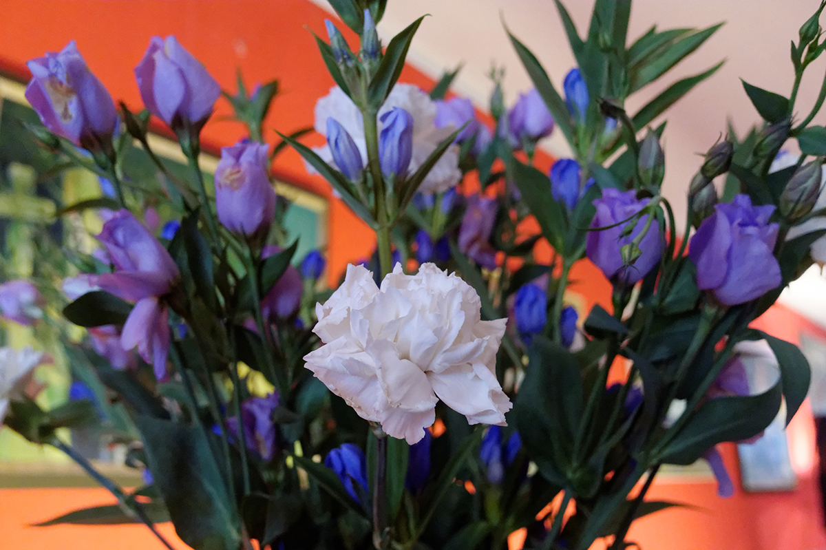 Unlike smartphone cameras, the DxO One can give nicely blurred backgrounds due to its larger sensor and f/1.7 lens
