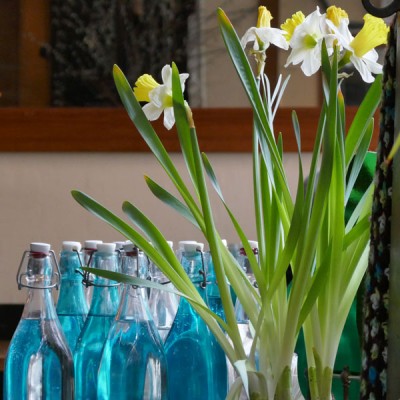 The TZ100 gives great results even at ISO 1600