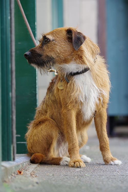 The ability to tilt the screen while shooting in a portrait orientation makes capturing ground-level images like this far easier than on other cameras