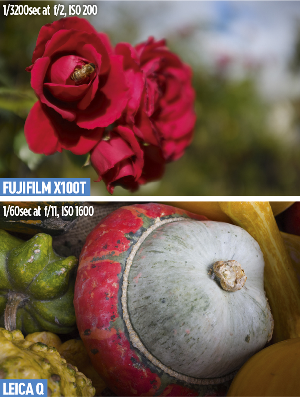 Fujifilm X100T and Leica Q Close-ups