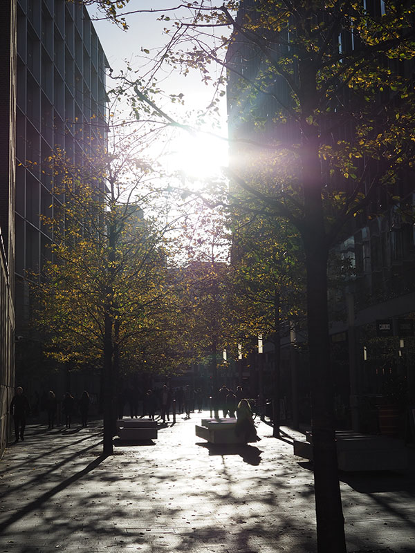The lens's main flaw is the appearance of multi-coloured flare when shooting into the light