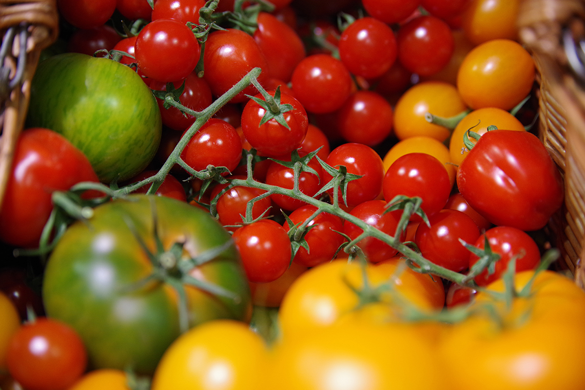 The camera's default Bright colour option delivers pleasingly saturated colours