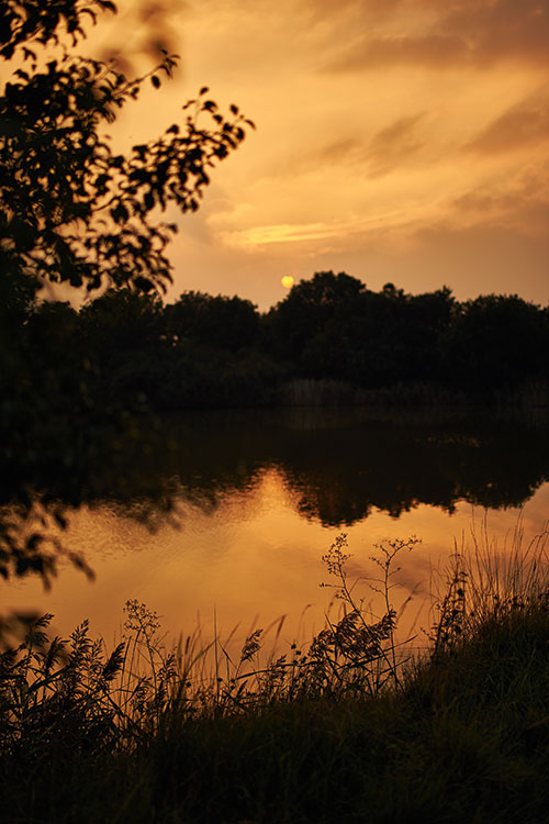 At f/1.8 the characteristic of the lens is rather beautiful