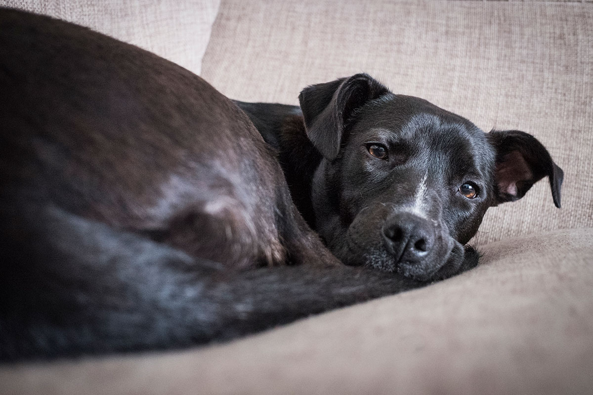 With a f/2.8 maximum aperture, it’s possible to isolate your subject