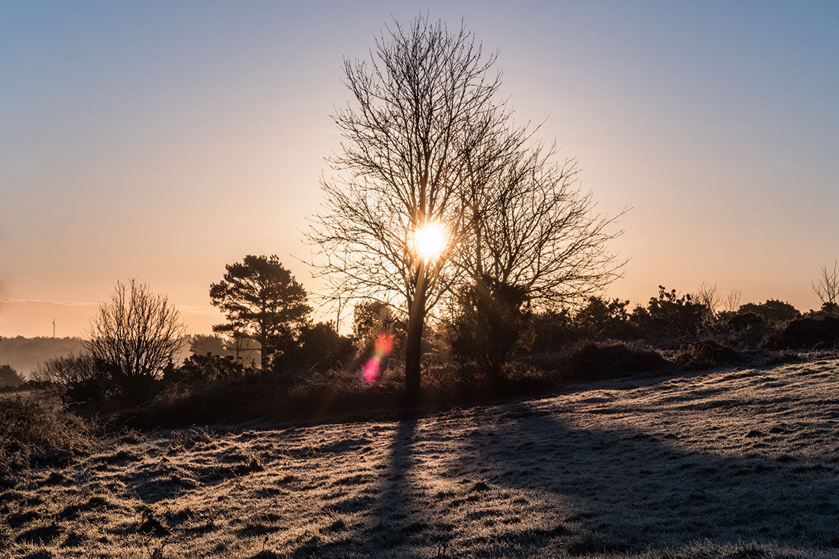 Shooting towards the sun revealed lens flare in a few of the images