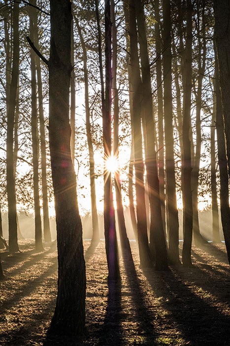 This starburst effect was achieved by stopping the lens down to its minimum aperture setting of f/16