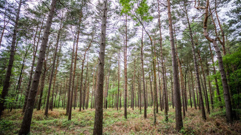 Zeiss Batis 18mm f/2.8 Sample Image