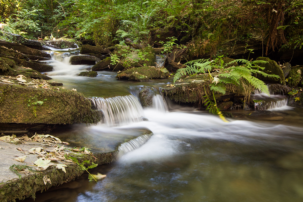 Small-Waterfall-2