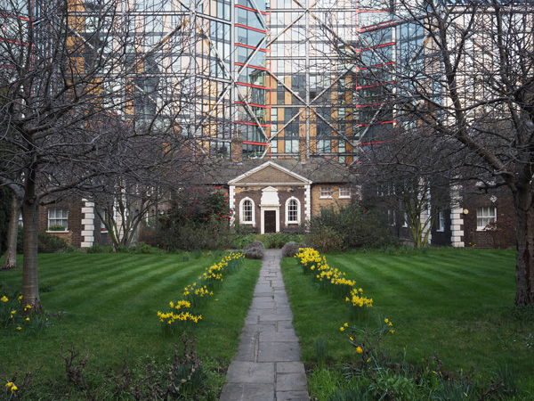 Olympus's colour output is very attractive, but noise reduction can smear fine detail
