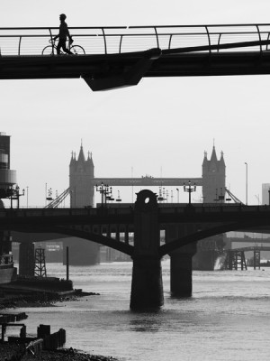 In this similar shot taken backlit the next morning, I switched to high contrast black & white