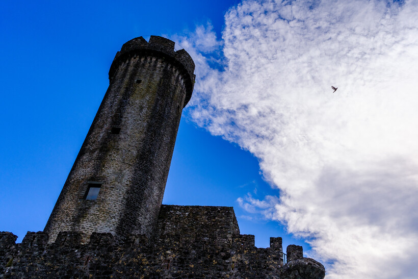 Fujifilm X-E5 review