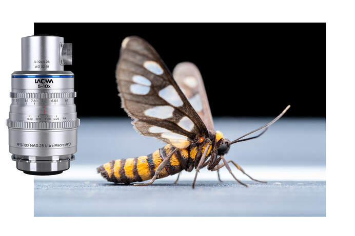 Aksen ultra macro 1-5x and 5-10x lenses introduced by Laowa offer unrivalled magnification for stills and cine shooters