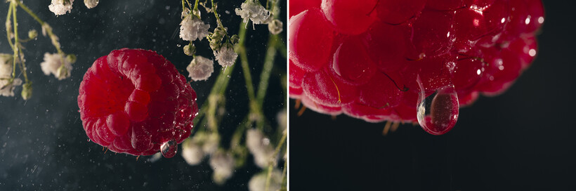 Laowa 180mm f4.5 macro sample pictures
