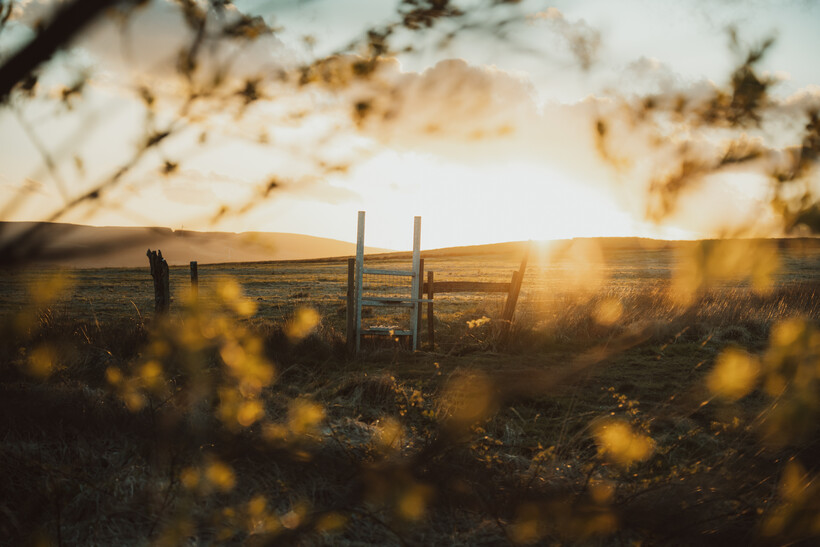 Sigma 20-60mm f/2.8-4 DG sample image by Jack Redgate