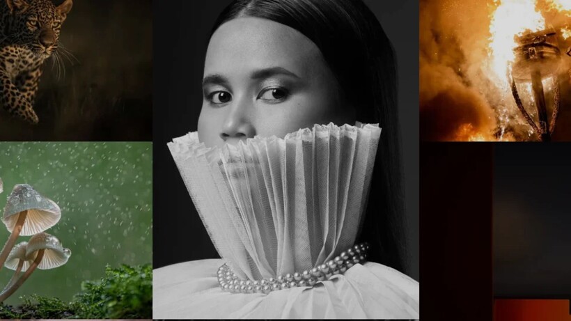 British Photography Awards 2026 opens public vote with 498 shortlisted images