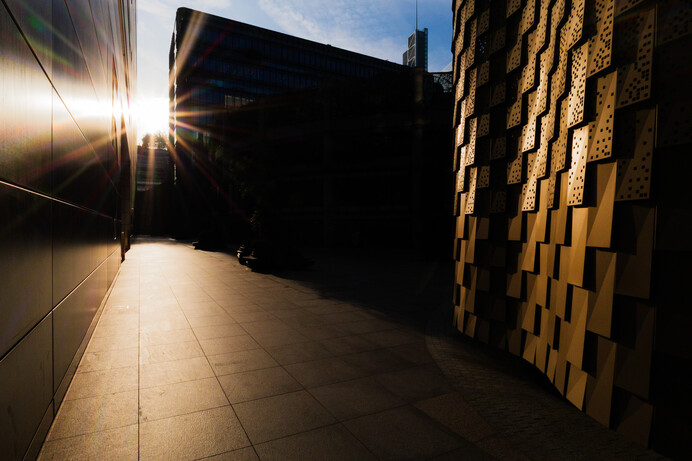 Panasonic Lumix S 20mm f2.5 review